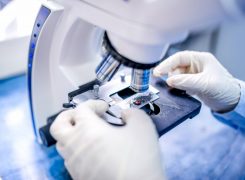 Wissenschaftliche Studien rund um die Faszien