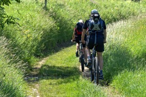 Mit dem Fahrrad in der Natur unterwegs.