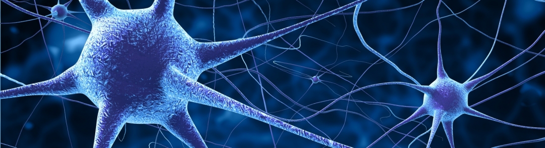 Neurophysiologische Hintergründe zu Faszien